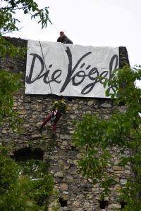 Die Vögel